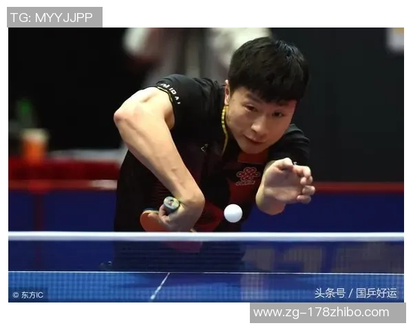 乒乓球场上的传奇人生:杨秀英的深度对话与成长故事