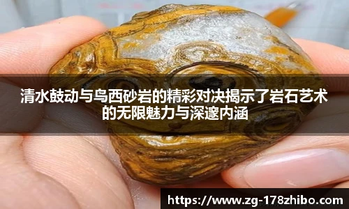 178体育直播